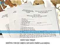 Cấp miễn giấy phép lao động theo nghị định 219 năm 2025