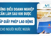 Các quy định đối với doanh nghiệp có lao động người nước ngoài