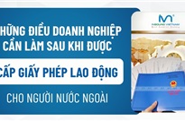 Các quy định đối với doanh nghiệp có lao động người nước ngoài