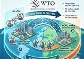 Bộ Công thương hướng dẫn 11 ngành dịch vụ WTO về di chuyển nội bộ