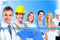 Các hình thức làm việc của người lao động nước ngoài tại Việt Nam