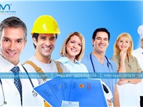 Các hình thức làm việc của người lao động nước ngoài tại Việt Nam