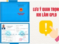 Lưu Ý Quan Trọng Khi Xin Giấy Phép Lao Động Việt Nam