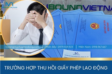 Hướng dẫn chi tiết về cách điền Mẫu số 03 Nghị định 219-2025-NĐ-CP